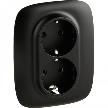 Силовая розетка LEGRAND Valena ALLURE двойная 2х2К+З 16А 250В с лицевой панелью с защитными шторками безвинтовые зажимы антрацит